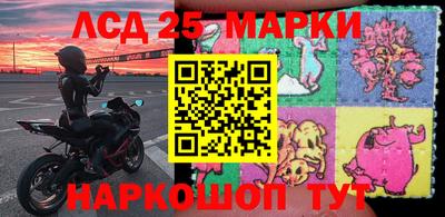 стафф Камышлов