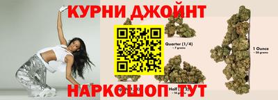 стафф Камышлов