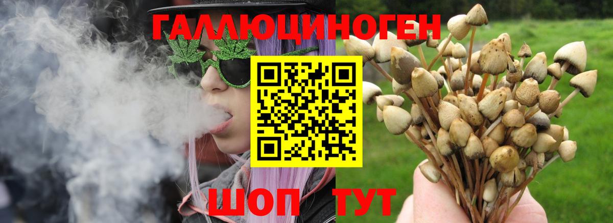 Иркутск  что такое наркотик  Вход с VPN  Псилоцибиновые грибы Cubensis 