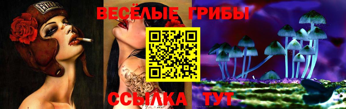 Псилоцибиновые грибы мицелий Иркутск